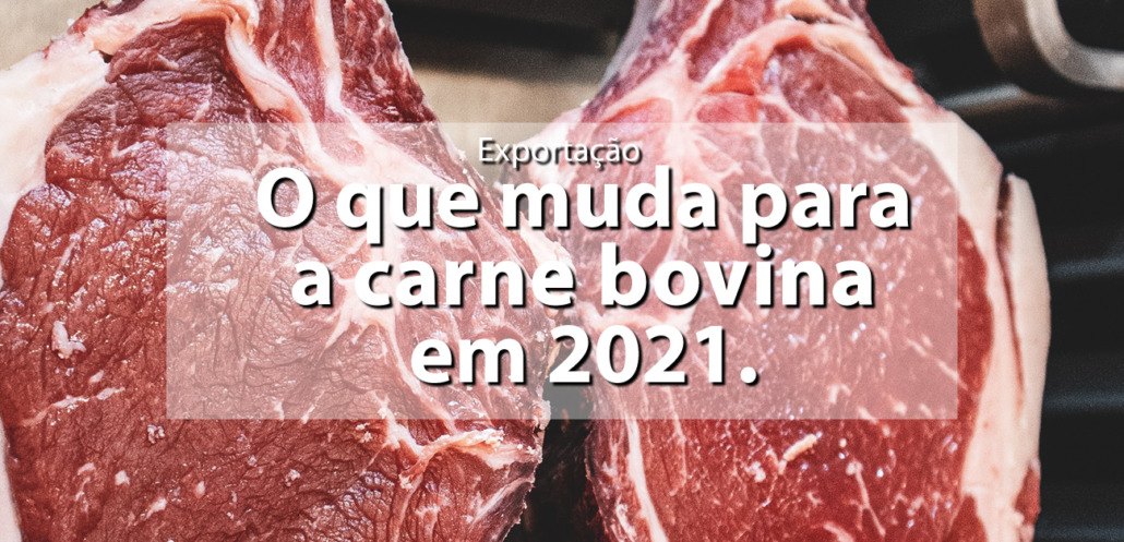 Call Export discorre sobre a Exportação de Carne Bovina e as Tendências em 2021.