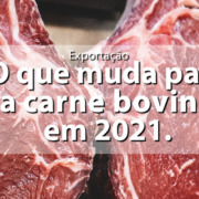 Call Export discorre sobre a Exportação de Carne Bovina e as Tendências em 2021.