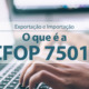 Call Export discorre sobre a CFOP 7501 e sua forma de uso. Foto por Glenn Carstens no Unsplash.