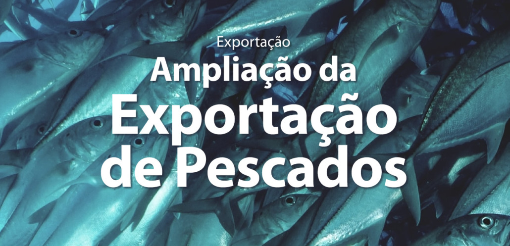 Call Export analisa o mercado de exportação de pescados brasileiro. Foto por Jet Kim no Unsplash.