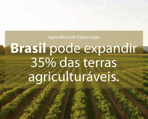 Call Export discorre sobre o tema de Agricultura de Exportação. Foto por Dan Meyers no Unsplash.