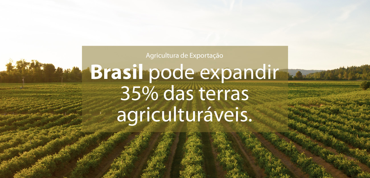 Call Export discorre sobre o tema de Agricultura de Exportação. Foto por Dan Meyers no Unsplash.