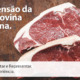 Call Export fala sobre a suspensão da exportação de carne argentina. Imagem: Kyle Mackie no Unsplash.