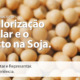 Call Export relaciona a alta do dólar com as mudanças no mercado de Soja. Imagem: Polina Tankilevich no Pexels.