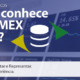 Call Export explica o uso do COMEX STAT. Imagem: Logotipo Comex Stat por Governo Federal do Brasil. Stephen Dawson no Unsplash.