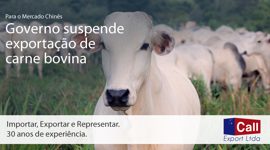 Call Export fala sobre a proibição de exportação da carne bovina para a China. Juliana Amorim on Unsplash.