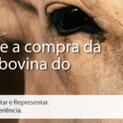 Call Export dá um update sobre a situação da Compra de Carne Bovina Brasileira pela China. Imagem: Alexander Aguero on Unsplash.