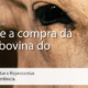 Call Export dá um update sobre a situação da Compra de Carne Bovina Brasileira pela China. Imagem: Alexander Aguero on Unsplash.