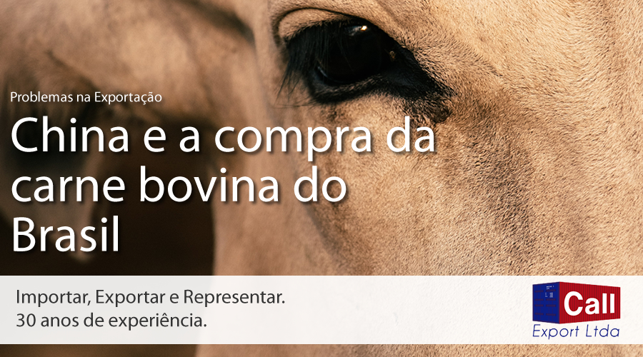 Call Export dá um update sobre a situação da Compra de Carne Bovina Brasileira pela China. Imagem: Alexander Aguero on Unsplash.