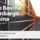 Call Export explica o embargo da China para a carne bovina