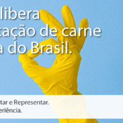 Call Export fala sobre a liberação da exportação de carne bovina brasileira para a China. Anna Shvets no Pexels.