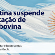 Call Export comenta a suspensão de exportação de carne bovina pela Argentina. Imagem: Angelica Reyes on Unsplash.