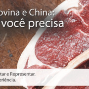 Call Export comenta sobre o novo impasse com a exportação de Carne Bovina Brasileira para a China.