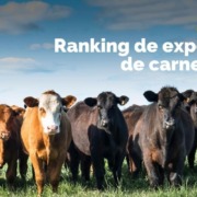 Equipe da CallExport comenta o Ranking de exportação de carne bovina.