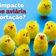 Call Export comenta o possível impacto da Gripe Aviária sobre as exportações brasileiras.
