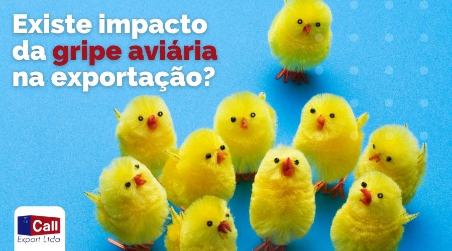 Call Export comenta o possível impacto da Gripe Aviária sobre as exportações brasileiras.
