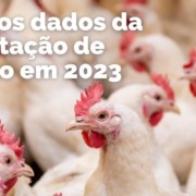 Call Export comenta a Exportação de Frango.